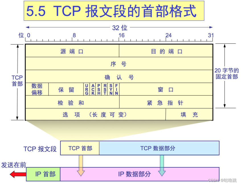 数据通信——传输层TCP（TCP报文格式）