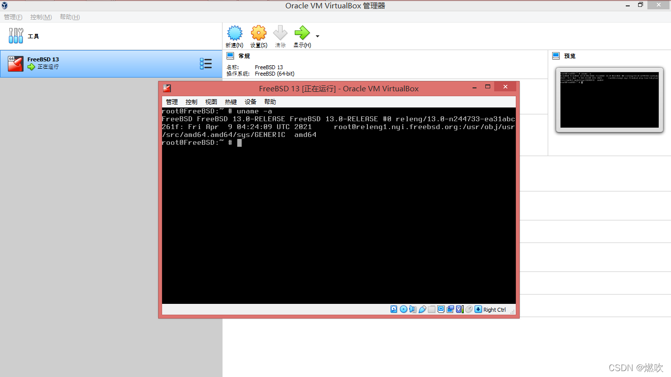 调出虚拟机窗口