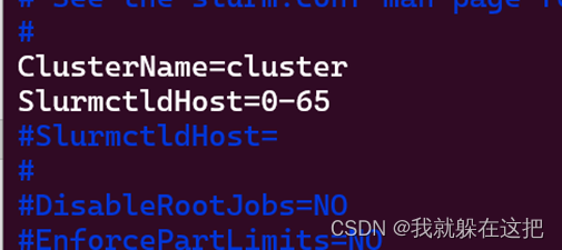 slurm.conf