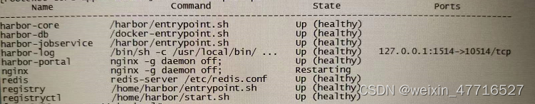 容器nginx，一直restarting,陷入无限重启中 