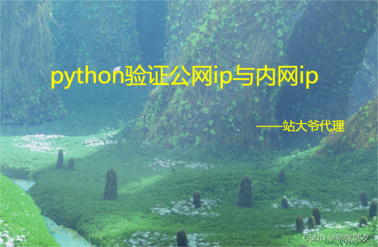 python验证公网ip与内网ip