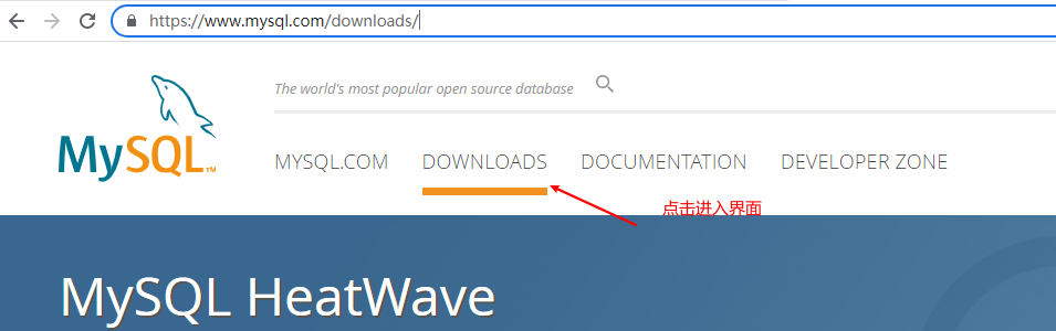 进入官网并点击downloads