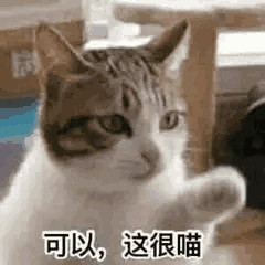 Android ---- 手机测试框架