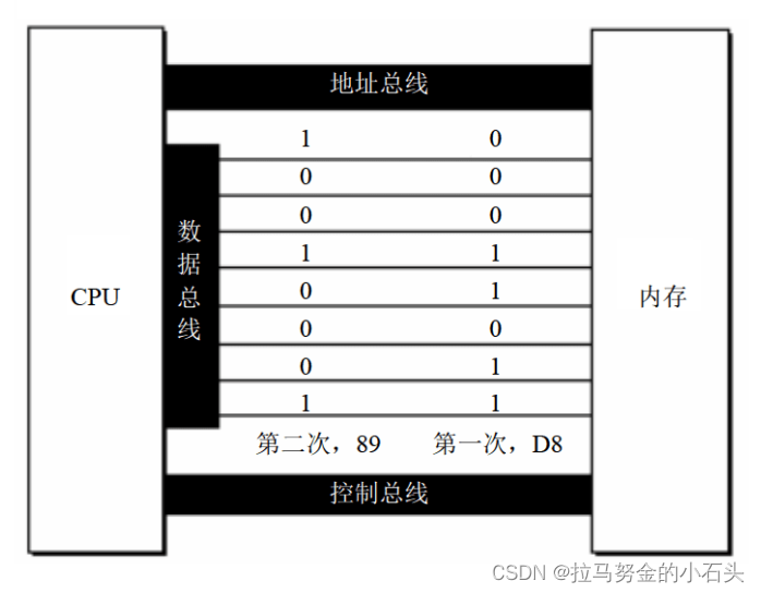 8位数据总线上传送的信息