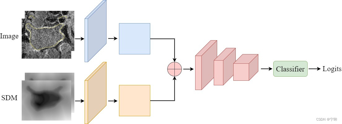 半监督3D医学图像分割（四）：SASSNet_shape-aware semi-supervised 3d semantic ...