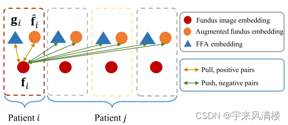 patient feature-based softmax embedding