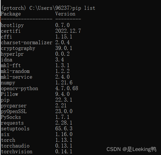 pytorch的安装_python安装pytorch-CSDN博客