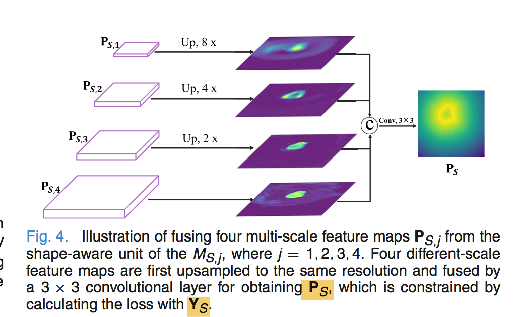 医学论文笔记：TMI2021 SMU-Net: Saliency-Guided Morphology-Aware U-Net For ...