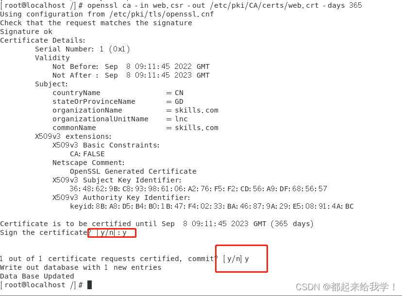 CentOS搭建CA服务器，都是科技狠活，快来看我 centos ca搭建需要费用吗 CSDN博客