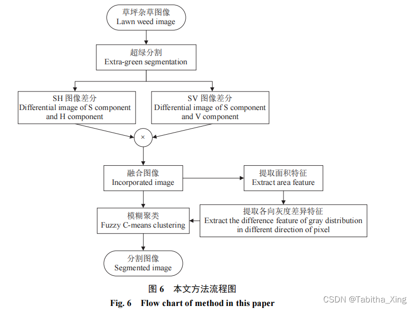 算法整体流程