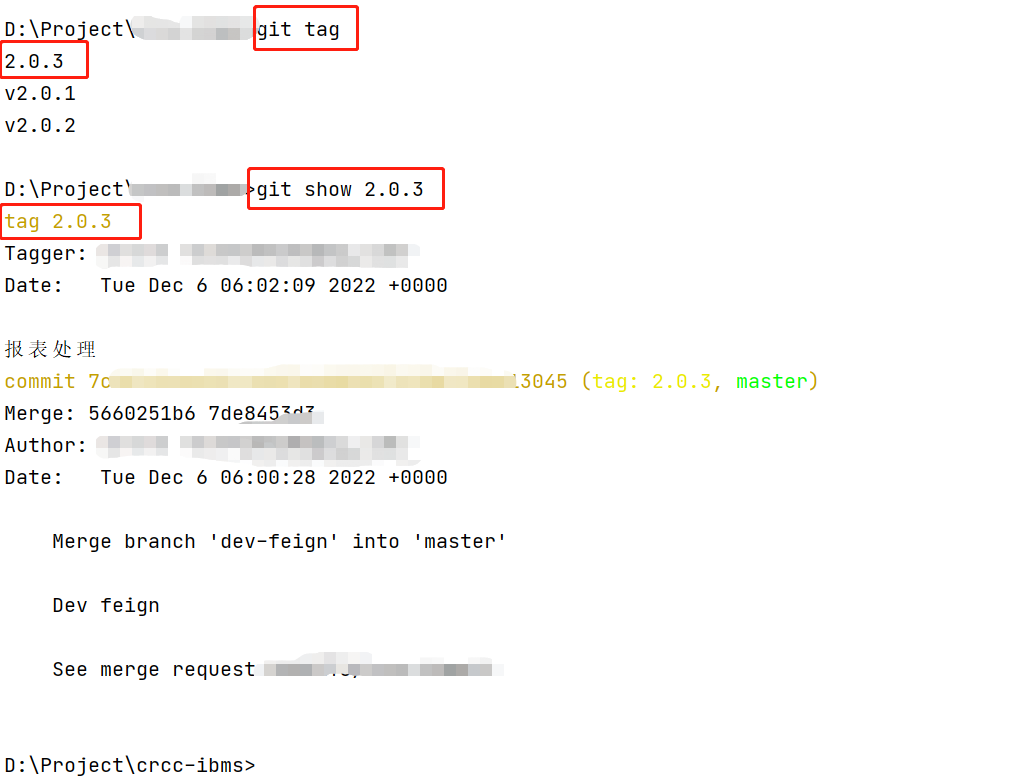 Tag 创建、查看、根据tag回滚_git push tagCSDN博客