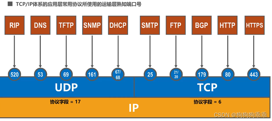 计算机网络 运输层端口号，复用、分用