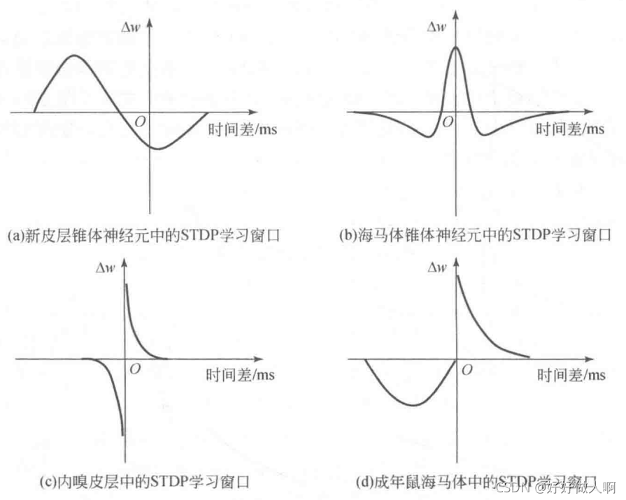 STDP学习机制(使用Brian2仿真)-CSDN博客