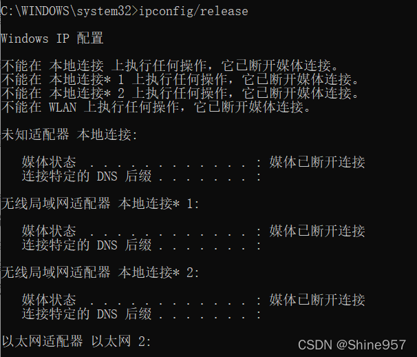 ipconfig/release