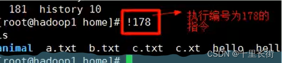 linux常见命令-文件目录类