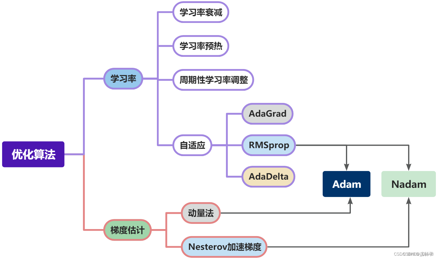 优化算法