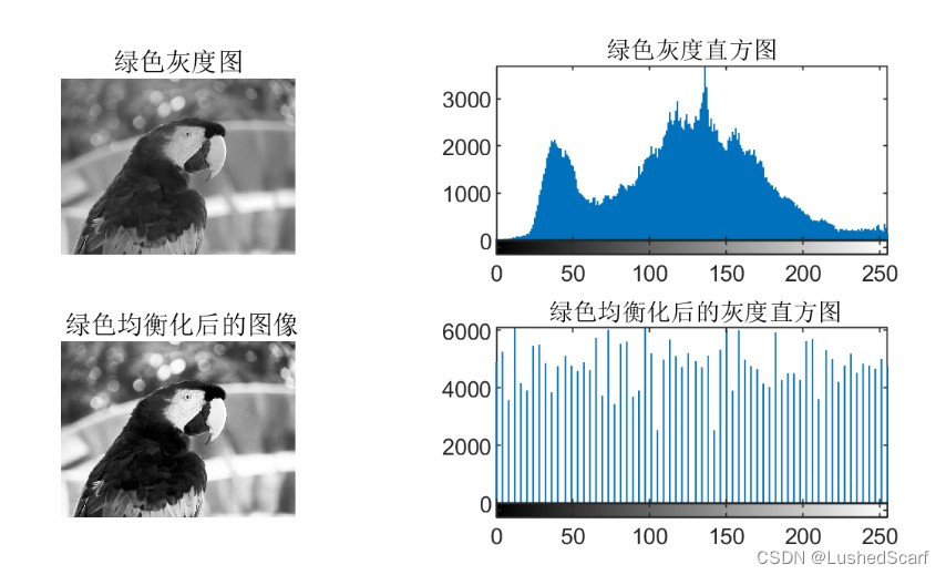 彩色图像灰度均衡化-CSDN博客