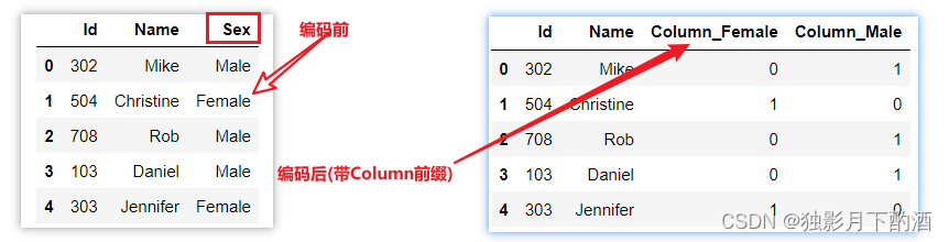 Pandas get_dummies用法