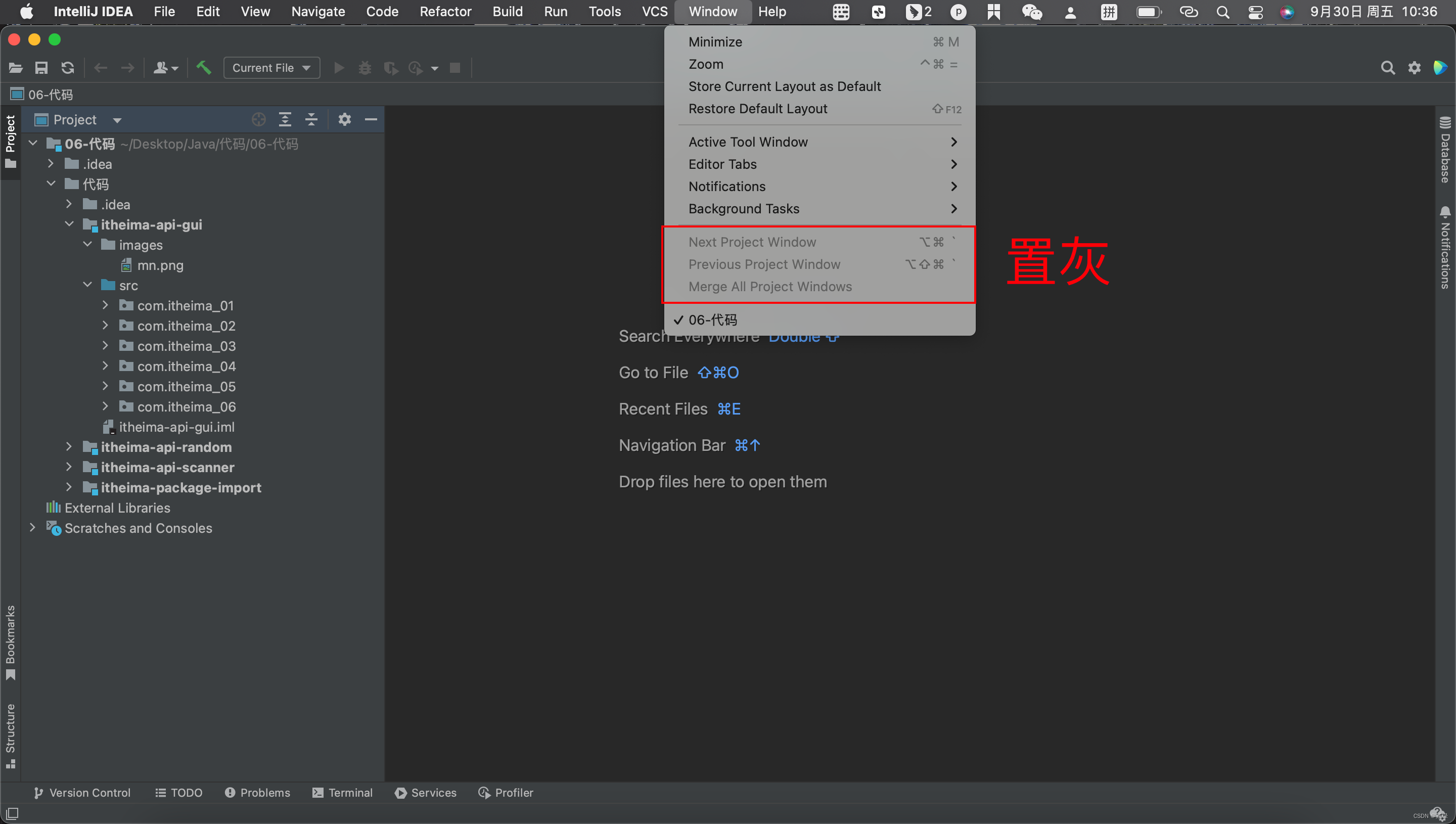 【Mac】在Idea中打开两个项目在同一个窗口