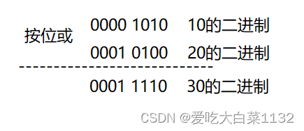 【JavaSE】一篇文章领悟Java运算符