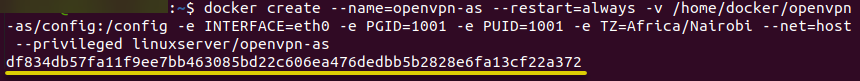 Creating a new Docker container (openvpn-as)