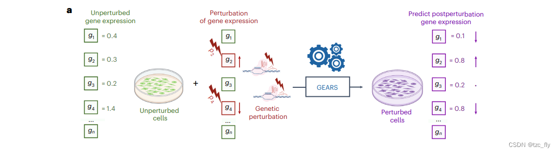 fig1a