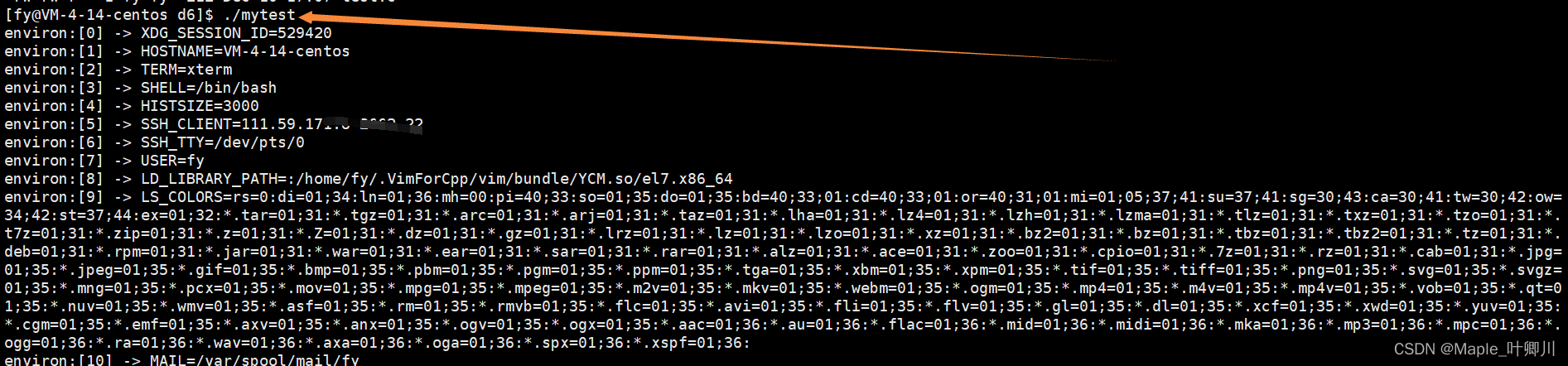 【Linux】四、Linux 进程概念（三）|进程优先级|环境变量