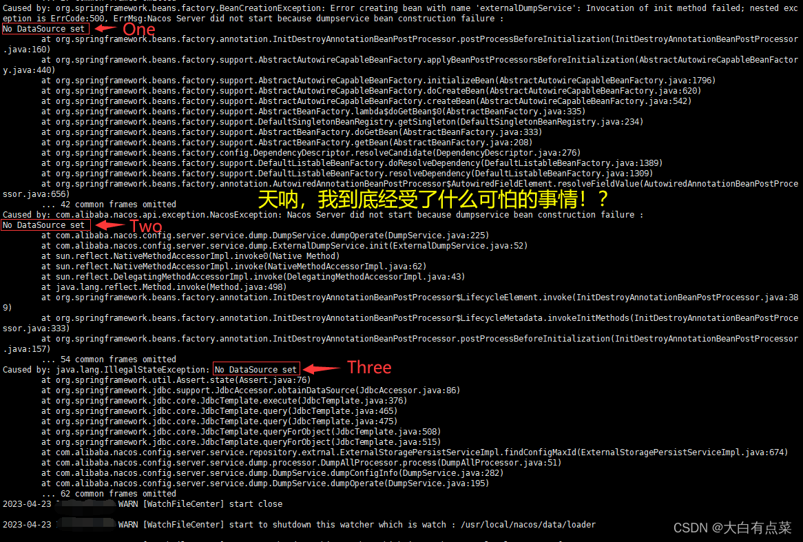 一堆堆的 No DataSource set 报错日志扑面而来