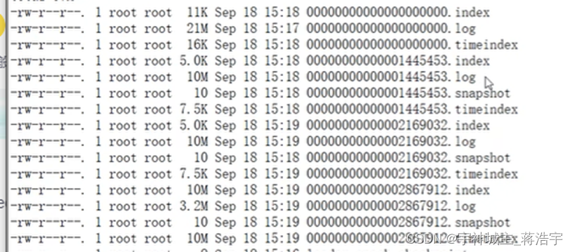 kafka 四 Kafka读写流程、LEO log end offset、物理存储 稠密索引 稀疏索引 、Kafka物理存储、深入了解读数据流程、删除消息