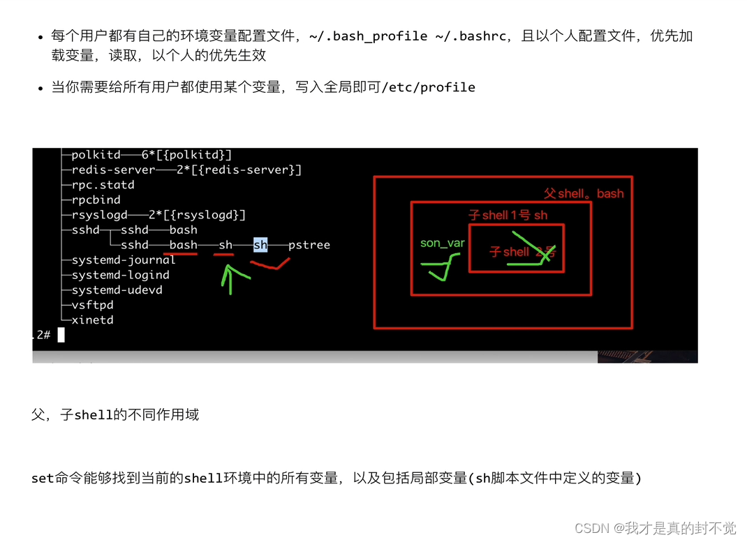Shell最全笔记 就决定用你了