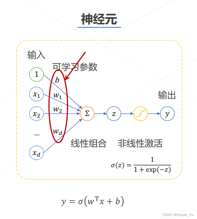 神经元