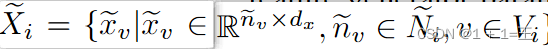 Xi = { xv |  xvR nv × dx，nvNi，vVi }