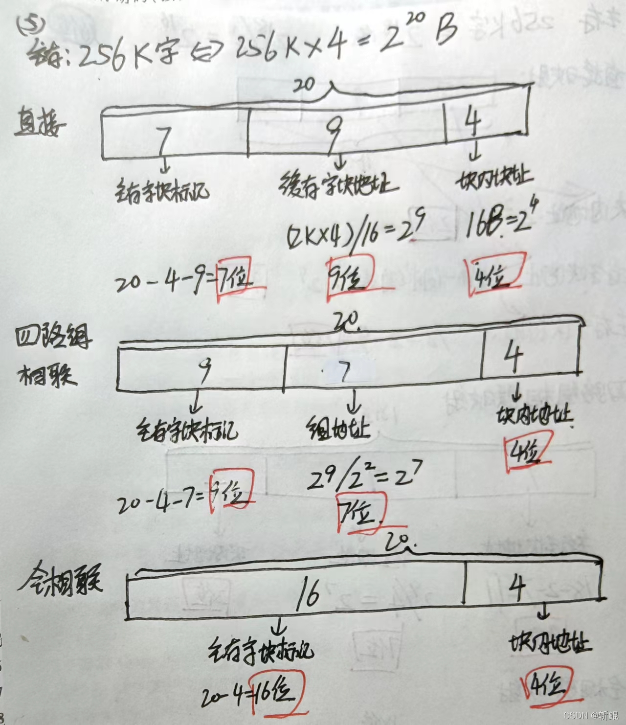 watermark,type_d3F5LXplbmhlaQ,shadow_50,text_Q1NETiBA5pap6bKy,size_20,color_FFFFFF,t_70,g_se,x_16