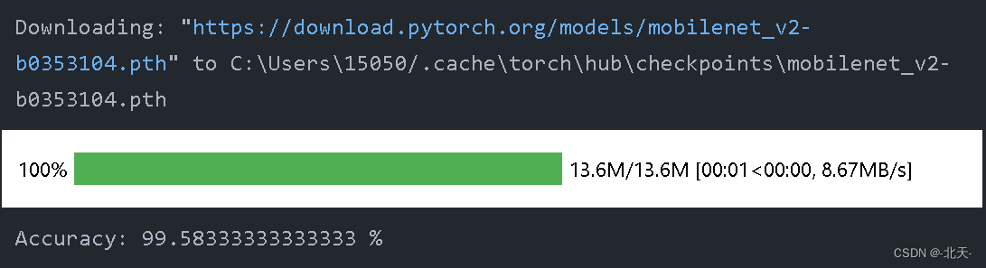 深度学习 Day29——利用Pytorch实现咖啡豆识别