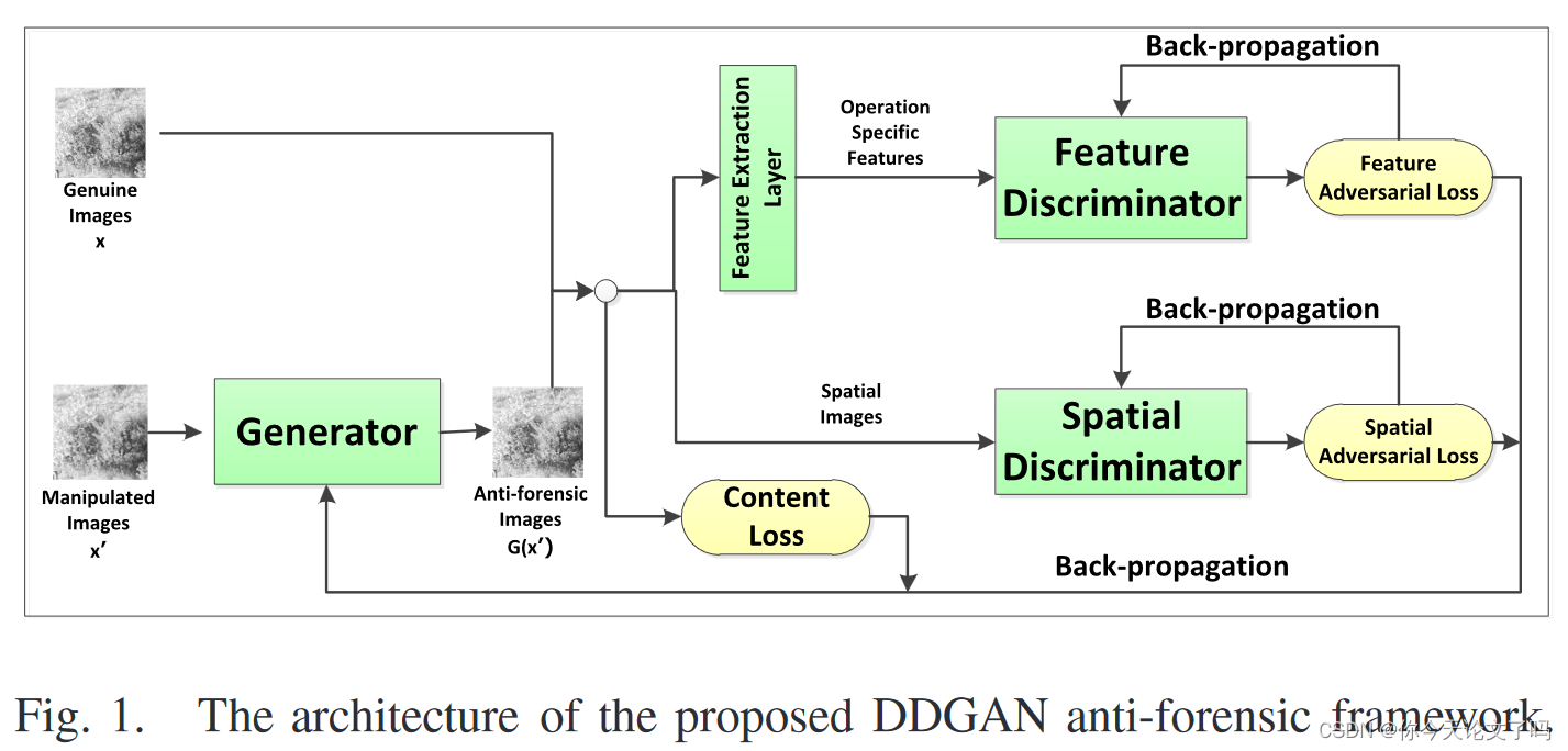 Dual-Domain Generative Adversarial Network for Digital Image Operation ...