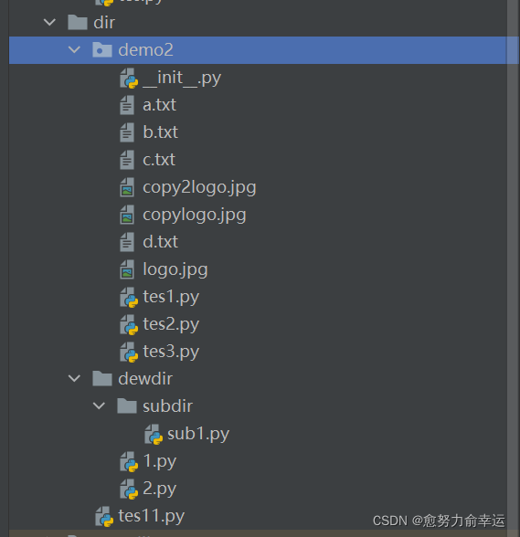 Python入门-os.walk_python generator object wolk-CSDN博客