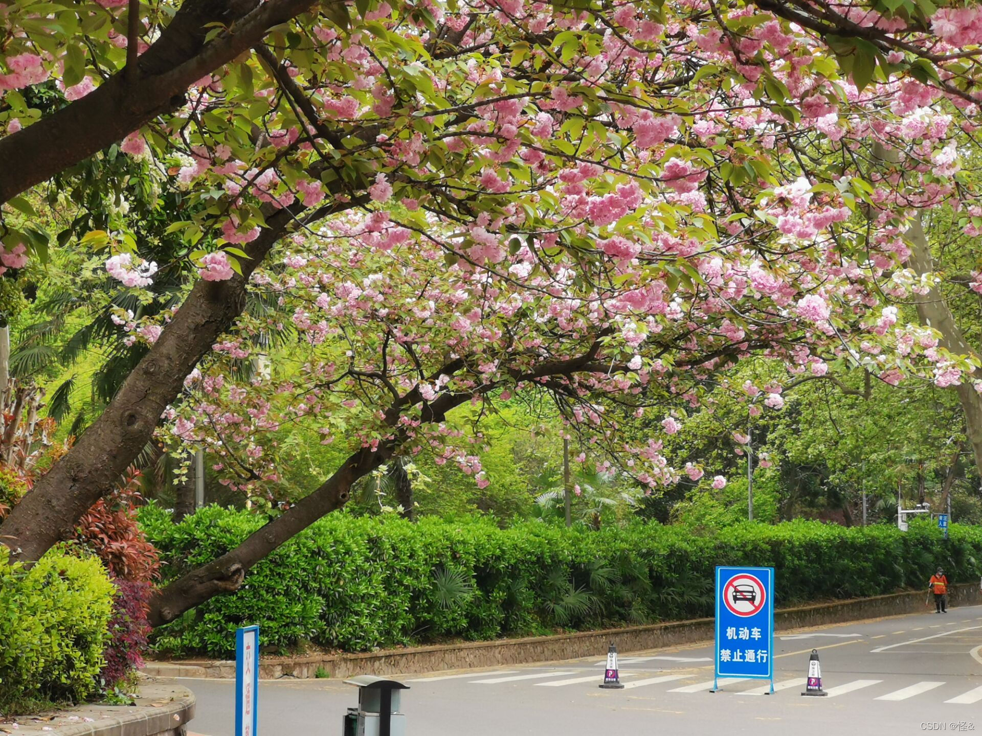 请添加图片描述