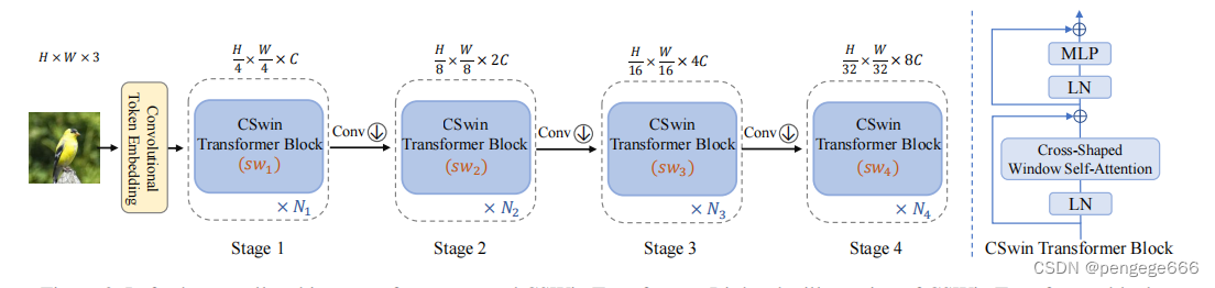 CSWin Transformer网络模型_cswin-attention-CSDN博客