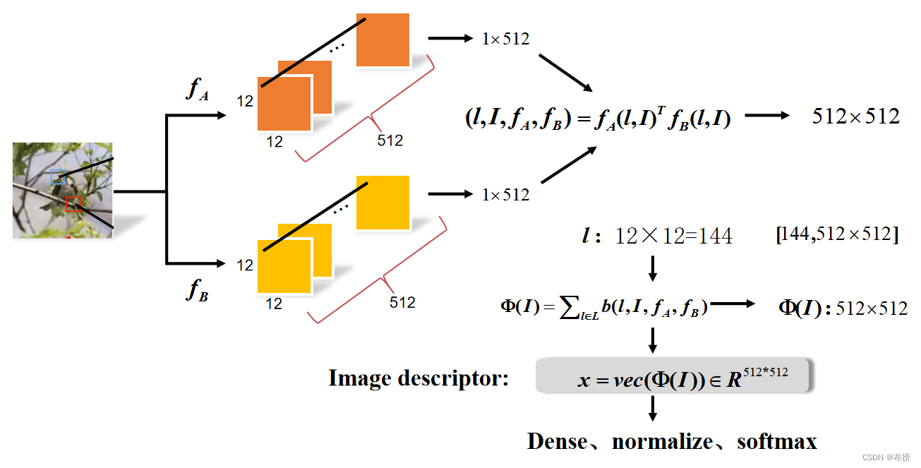 Bilinear CNN Model理解(附代码实现)-CSDN博客