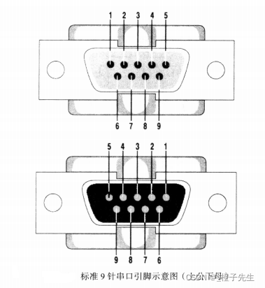 ここに画像の説明を挿入