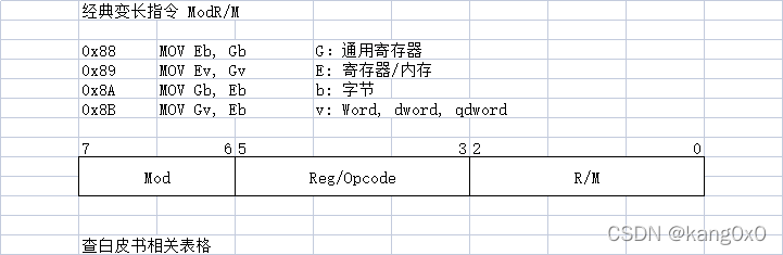 变长指令描述