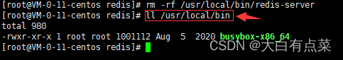 查看 /usr/local/bin 目录的文件情况，redis-server 和 redis-cli 可执行文件是不存在的