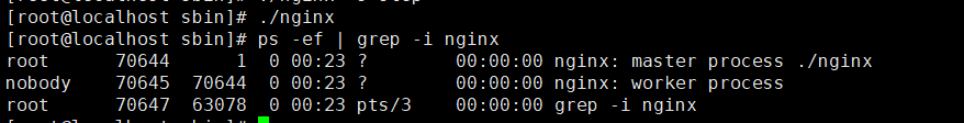 nginx 成功启动