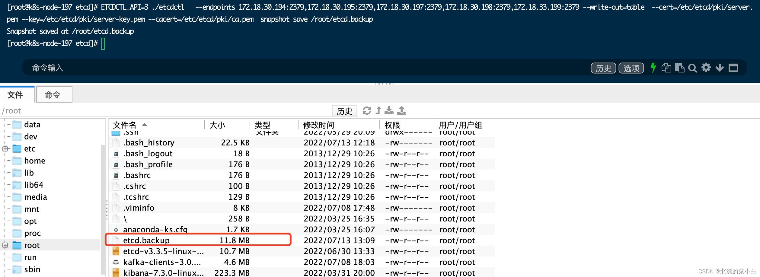 云原生技术 etcdctl 常用命令记录_云原生_北漂的菜小白松山湖开发者村综合服务平台