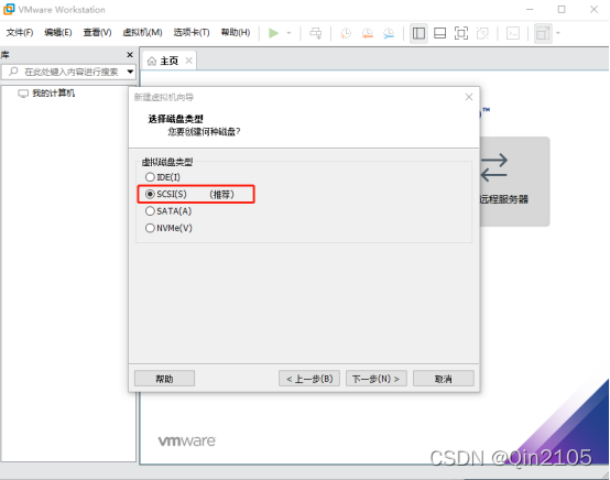 选择虚拟磁盘类型SCSI(S) (推荐)