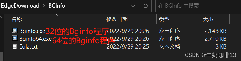 Windows系统的桌面显示信息工具___BGInfo使用