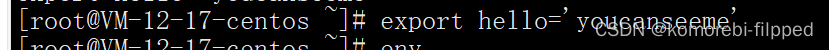 Linux环境变量