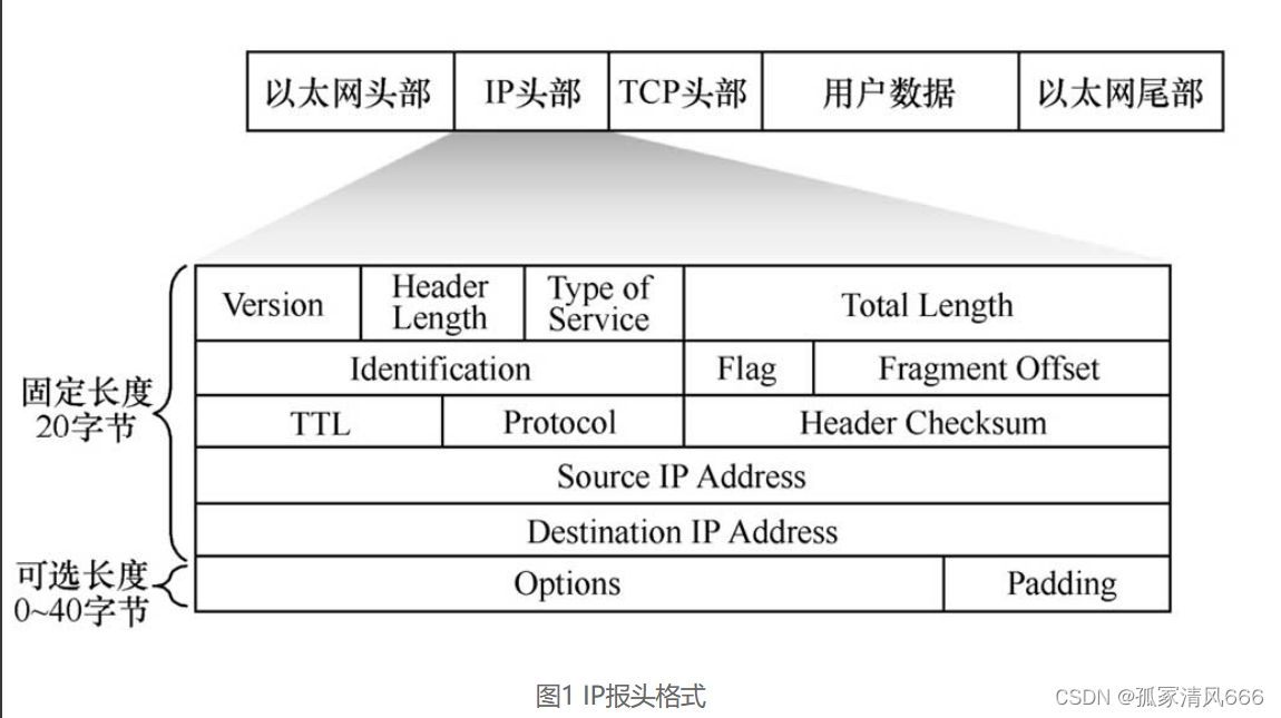 带你快速IP头部详解_header of ip-CSDN博客