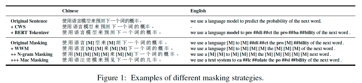 预训练模型