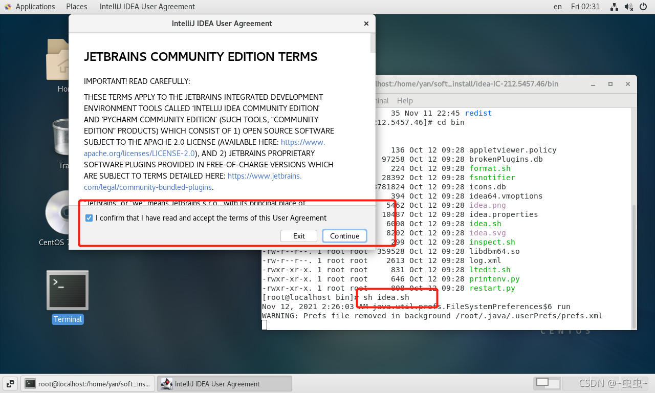 在虚拟机终端启动idea